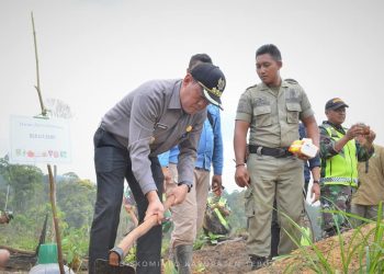 Rehabilitasi Hutan, Bupati Sukandar Tanam Pohon Bersama Danrem 042/ Gapu