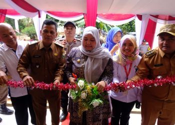 Masnah Resmikan Posyandu di Dusun Talang Parit