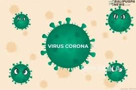 Pasien Positif Corona Di Provinsi Jambi Bertambah 11 Orang, 7 Dari Kabupaten Merangin