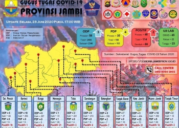 Pasien Positif Covid-19 Di Provinsi Jambi Bertambah 2, Ini Asal Daerahnya