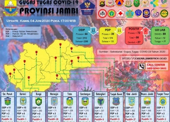 Pasien Covid-19 di Provinsi Jambi Sembuh Bertambah 10 Dan Positif 2 Orang