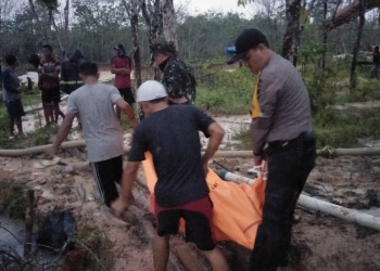 Tiga Penambang Emas Tanpa Ijin (PETI) di Kabupaten Merangin Tewas Tertimbun