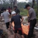 Tiga Penambang Emas Tanpa Ijin (PETI) di Kabupaten Merangin Tewas Tertimbun