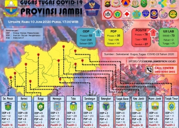 Pasien Positif Covid-19 Di Provinsi Jambi Bertambah 2 Orang, Ini Asal Daerahnya