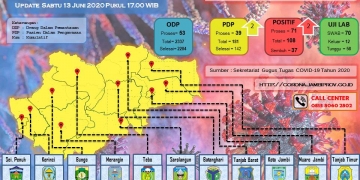 Pasien Covid-19 Di Provinsi Jambi Bertambah 2 Positif Dan Sembuh 10 Orang