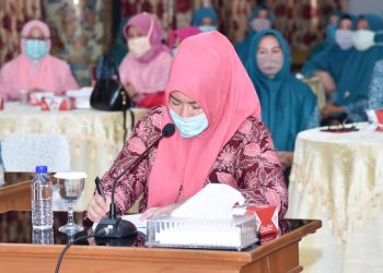 TP-PKK Batanghari Ikuti Acara Halal Bihalal Virtual Bersama TP-PKK Se-Provinsi Jambi