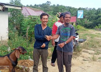 Yayasan Balarenik Provinsi Jambi Salurkan Hewan Korban 2 Ekor Kambing Untuk Warga SAD Bukit Suban