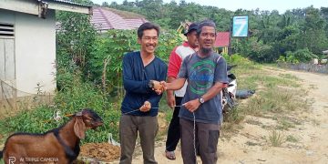 Yayasan Balarenik Provinsi Jambi Salurkan Hewan Korban 2 Ekor Kambing Untuk Warga SAD Bukit Suban