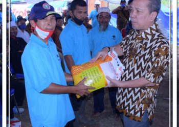 Bupati Syahirsah Beri Bantuan Bibit Sawit Program Peremajaan Sawit Rakyat (PSR)