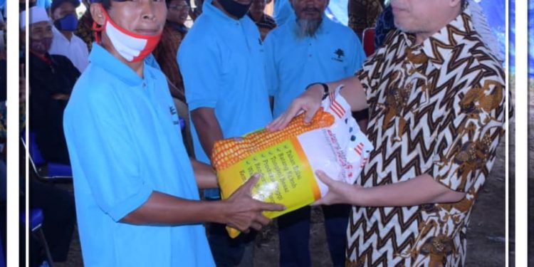 Bupati Syahirsah Beri Bantuan Bibit Sawit Program Peremajaan Sawit Rakyat (PSR)