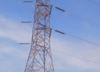Demi Ekonomi, Pekerja Pemasang Kabel Fiber Lawan RasaTakut Ketinggian