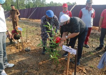 Bupati Safrial Dan Danlanal Palembang Tanam Mangrove di Kawasan Pelabuhan Roro