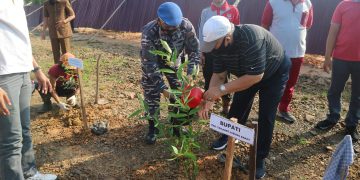 Bupati Safrial Dan Danlanal Palembang Tanam Mangrove di Kawasan Pelabuhan Roro