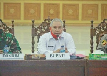 Kisruh Lahan Teluk Nilau, Bupati Warning WKS Jangan Ada Data Fiktif