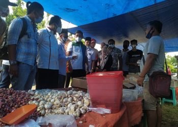 Safari Politik di Pasar Aro Muaro Bulian Cawagub Syafril Disambut Antusias Pedagang dan Pembeli