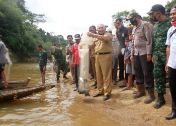 Bupati Safrial Mulai kegiatan Panen Ikan Sungai Lubuk Larangan Raja Gagak Dusun Mudo
