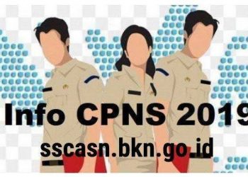 Sebanyak 241 Peserta Test CPNS Tahun 2019 Kabupaten Merangin Dinyatakan Lulus