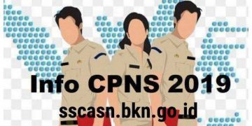 Sebanyak 241 Peserta Test CPNS Tahun 2019 Kabupaten Merangin Dinyatakan Lulus