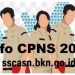 Sebanyak 241 Peserta Test CPNS Tahun 2019 Kabupaten Merangin Dinyatakan Lulus