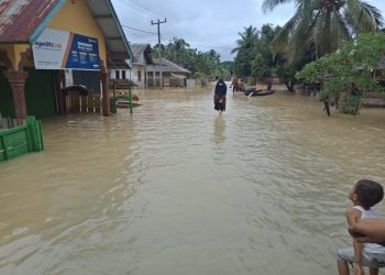 Hujan Masih Mengguyur, Wilayah Rantau Limau Manis Masih Terendam Air