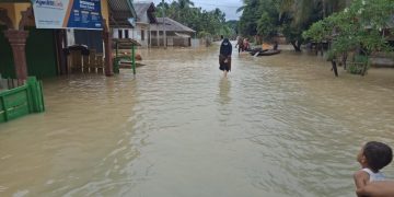 Hujan Masih Mengguyur, Wilayah Rantau Limau Manis Masih Terendam Air
