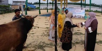 Bupati Muaro Jambi Serahkan Hewan Kurban di LPP di Bukit Baling