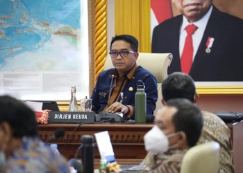 Mendagri Minta Kepala Daerah Dukung Percepatan Pembangunan Di Daerah Tahun 2021