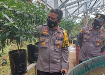 Kapolres Merangin Kunjungi Kampung Tangguh Di Desa Pinang Merah