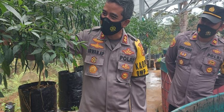 Kapolres Merangin Kunjungi Kampung Tangguh Di Desa Pinang Merah