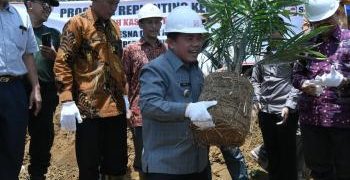 Merangin Terluas Dapat Program Replanting Sawit