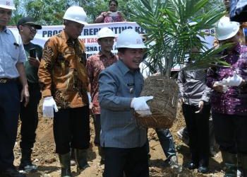Merangin Terluas Dapat Program Replanting Sawit