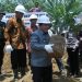 Merangin Terluas Dapat Program Replanting Sawit