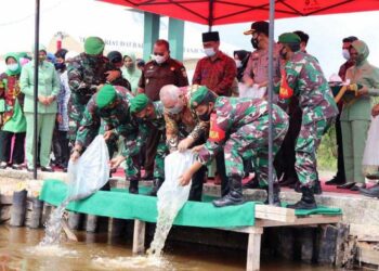 Bupati Safrial Tabur Benih Ikan Air Tawar Bersama Danrem 042/Gapu