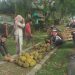 Usai Lebaran, Buah Durian Mulai Banyak Di Jual Di Merangin
