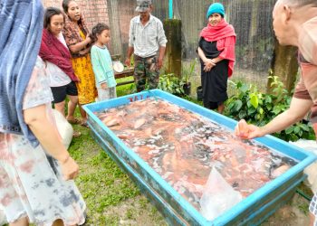 Ringankan Beban Masyarakat, Dewan DPRD Muaro Jambi Jual Murah 1 Ton Ikan Nila