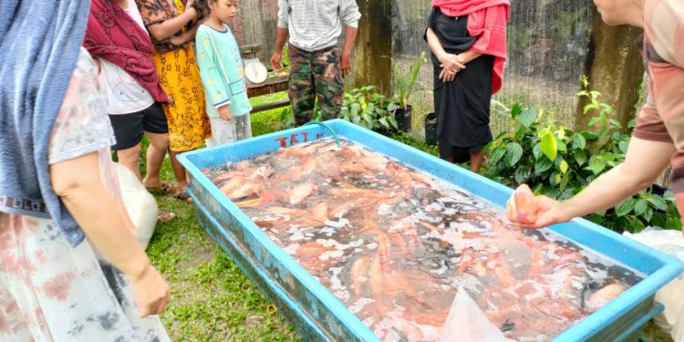 Ringankan Beban Masyarakat, Dewan DPRD Muaro Jambi Jual Murah 1 Ton Ikan Nila