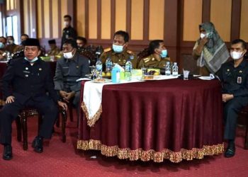 Kepala Bappeda Merangin Hadiri Acara Verifikasi Penilaian Kabupaten/Kota Layak Anak Oleh Kementerian PPPA