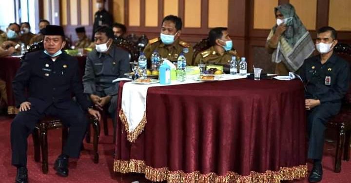Kepala Bappeda Merangin Hadiri Acara Verifikasi Penilaian Kabupaten/Kota Layak Anak Oleh Kementerian PPPA