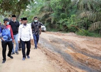 Kadis PUPR Provinsi Jambi Tinjau Kerusakan Jalan di Sungai Bahar