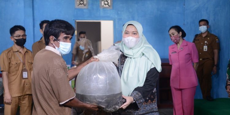 Bupati Masnah Busro Terima Penyerahan Bibit Ikan