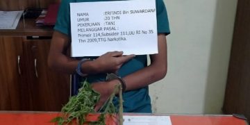 Sat Resnarkoba Polres Merangin Bekuk Satu Orang Pemilik Narkotika Jenis Ganja