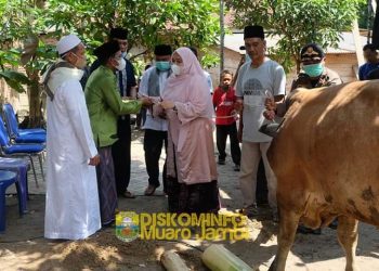 Bupati Masnah Serahkan Sapi Qurban Untuk Masyarakat Desa Muhajirin