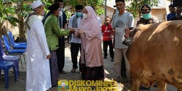 Bupati Masnah Serahkan Sapi Qurban Untuk Masyarakat Desa Muhajirin
