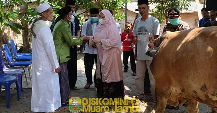 Bupati Masnah Serahkan Sapi Qurban Untuk Masyarakat Desa Muhajirin