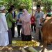 Bupati Masnah Serahkan Sapi Qurban Untuk Masyarakat Desa Muhajirin