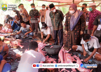Bupati Masnah Bersama Wagub Abdullah Sani Hadiri Penyembelihan Hewan Qurban