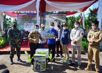 Gubernur Jambi Al Haris Lakukan Penanaman Pohon Pinang di Sadu