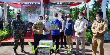 Gubernur Jambi Al Haris Lakukan Penanaman Pohon Pinang di Sadu