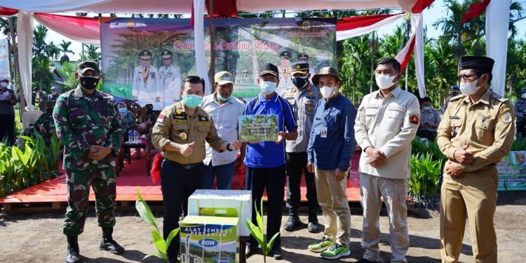 Gubernur Jambi Al Haris Lakukan Penanaman Pohon Pinang di Sadu