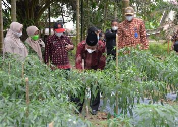 Abdullah Sani Bagi Sembako Saat Kunjungi Kawasan Pangan Lestari